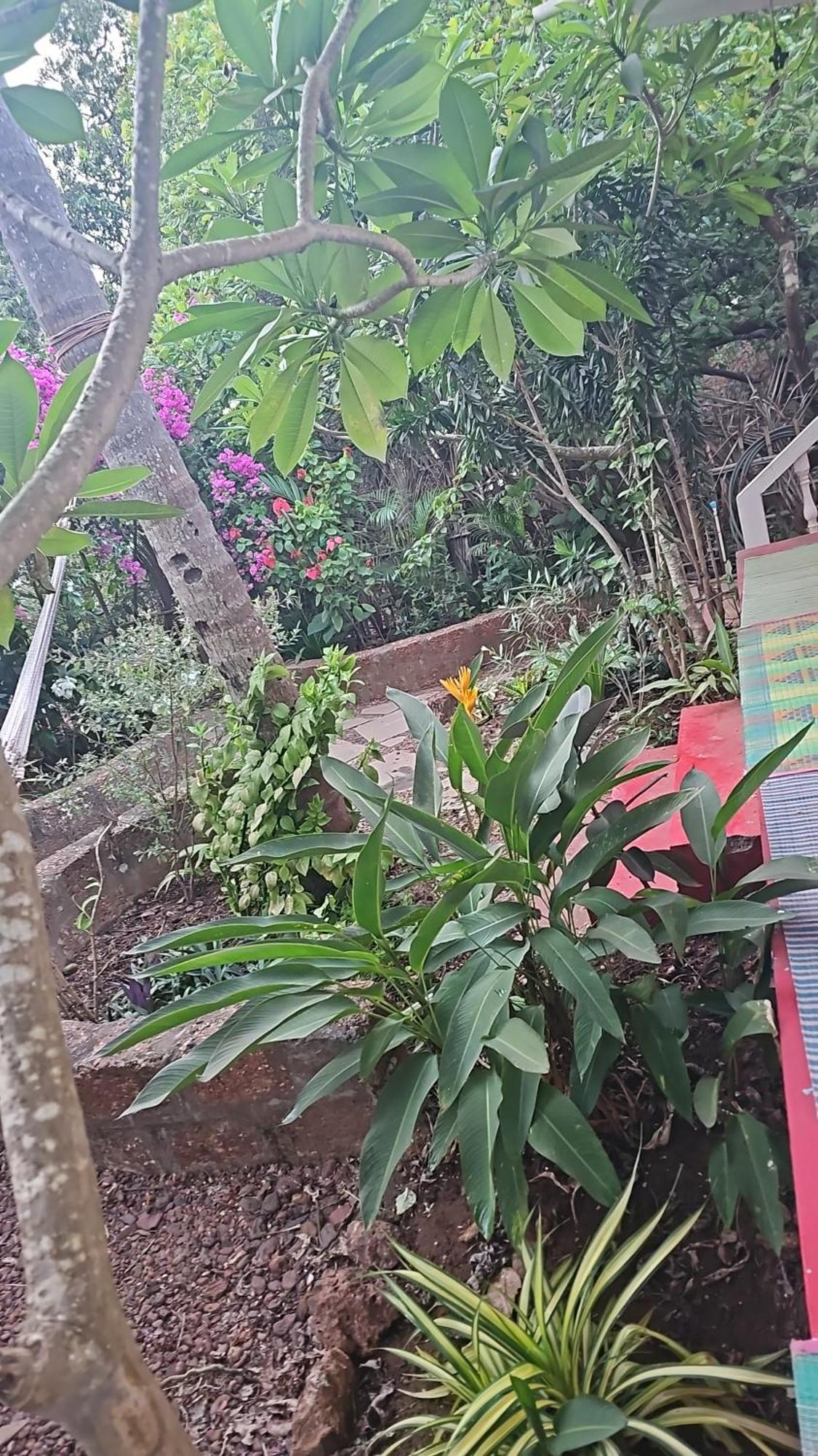 Laxmi Happy Home In Querim Goa エクステリア 写真