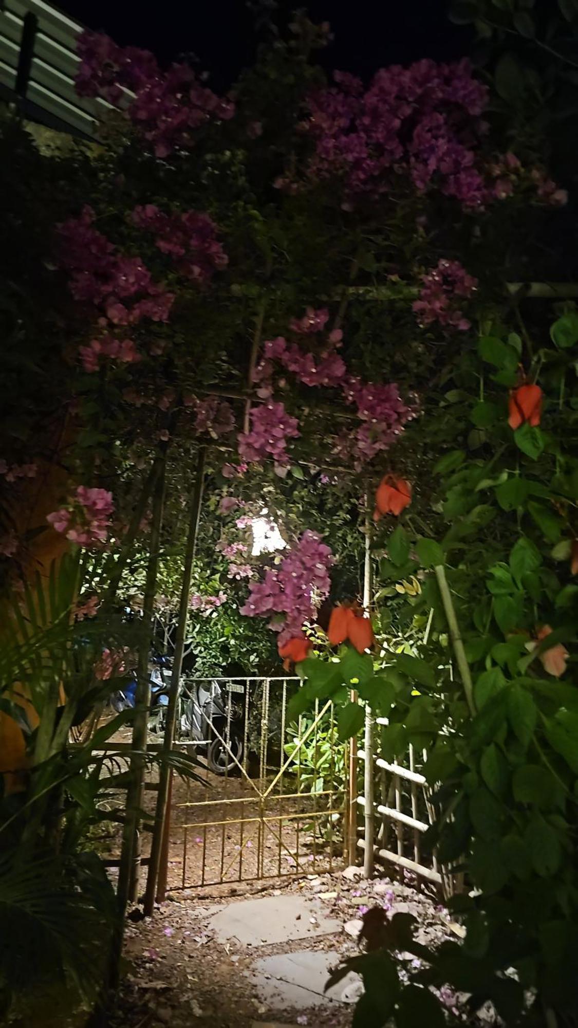 Laxmi Happy Home In Querim Goa エクステリア 写真